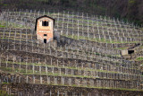 Tenuta La Gatta - Triacca a Bianzone (So)