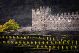 Castello di Grosio