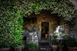 Apricale (Im)