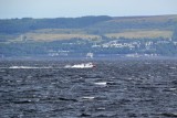 Misc Boats 2