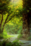 landscapes