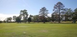 AAPA-2019-08-02-GOLF-s-582.jpg