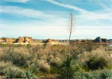 Lake Powell Landscape