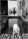 No Colors Zone (NSFW)