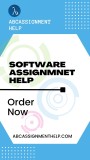 software assignment