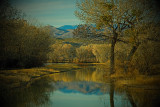 Bosque Del Apache National Wildlife Refuge