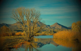 Bosque Del Apache National Wildlife Refuge.