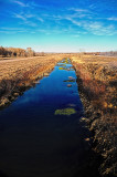 Bosque Del Apache National Wildlife Refuge