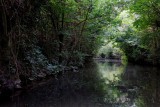 Marais poitevin