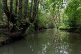 Marais poitevin