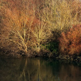 De Chessy à Gournay