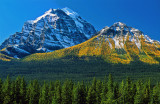 Larch covered montain slope in the Canadian Rockies, Banff National Park, Alberta, Canada