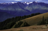 Olympic Mountains, Olympic National Park, WA