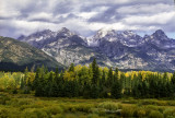 Meadow, Grand Teton National Park, WY