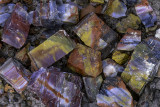 Pieces of Petrified Wood in the Rainbow Forest, Petrified Forest National Park, AZ