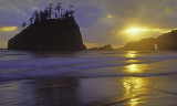 Stack and arch, Second Beach, Olympic National Park, WA