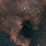 NGC 7000 North American Nebula OSC with Ha
