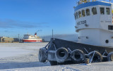 Bright Winter Day in the Harbor