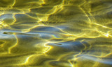 surfaces 7