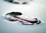 natural_imaging_20