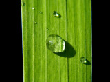 natural_imaging_20