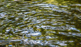 streaming_8