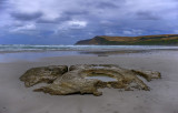 Shelly Beach Cape Bridgewater