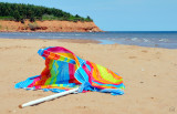 Wind-battered umbrella