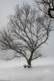 ds20190221-0001 acac.jpg