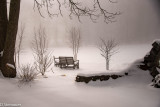 ds20190221-0017 acac.jpg