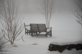 ds20190221-0018 acac.jpg
