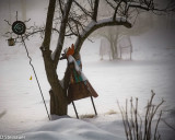 ds20190221-0020 acac.jpg
