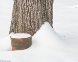 ds20190221-0036 acac.jpg