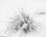 ds20190221-0047 acac.jpg