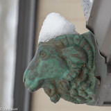 ds20190221-0060 acac.jpg