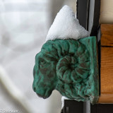 ds20190221-0062 acac.jpg