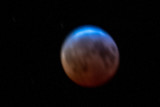 ds20190121-0020 x.jpg