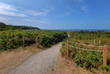 Plage municipale de Trois Pistoles 70