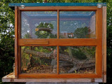 VIVARIUM de fortune