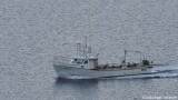Kjgvin FD 244