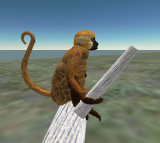 monkey_sitting2 copy.jpg