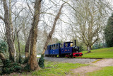 Bicton Park - East Devon