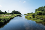River Otter looking seaward