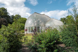 Another view of the Palm House - Bicton Park