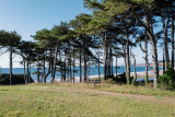 Budleigh Salterton from Otter Ledge