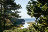 Otter Ledge - River Otter - Budleigh Salterton