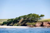 Otter Ledge - River Otter - Budleigh Salterton