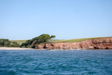 Otter Ledge - River Otter - Budleigh Salterton