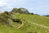 Along the SW coast path near Shaldon.