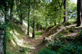 Woodbury Castle is an Iron Age hillfort near the village of Woodbury 